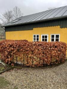 thumbnail image11